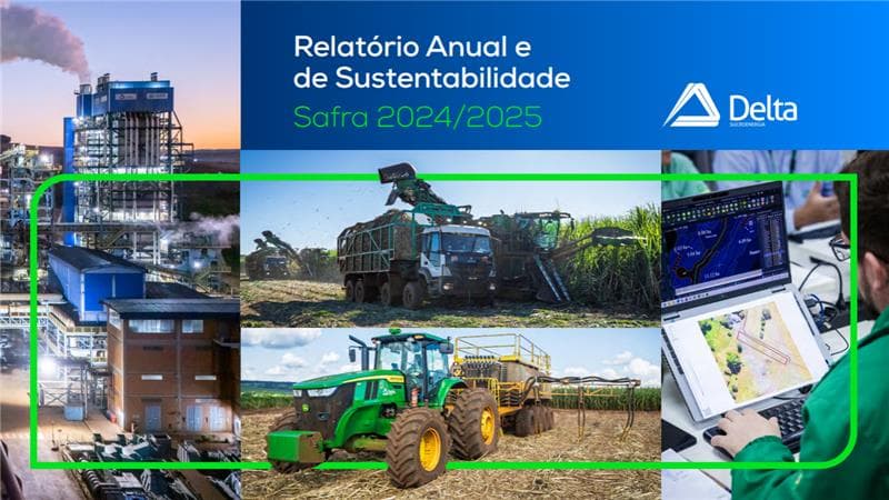 Relatório 2024/25 - BR