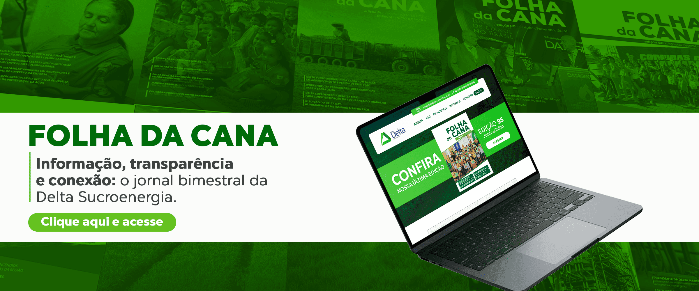 Banner de produtos da Delta Sucroenergia