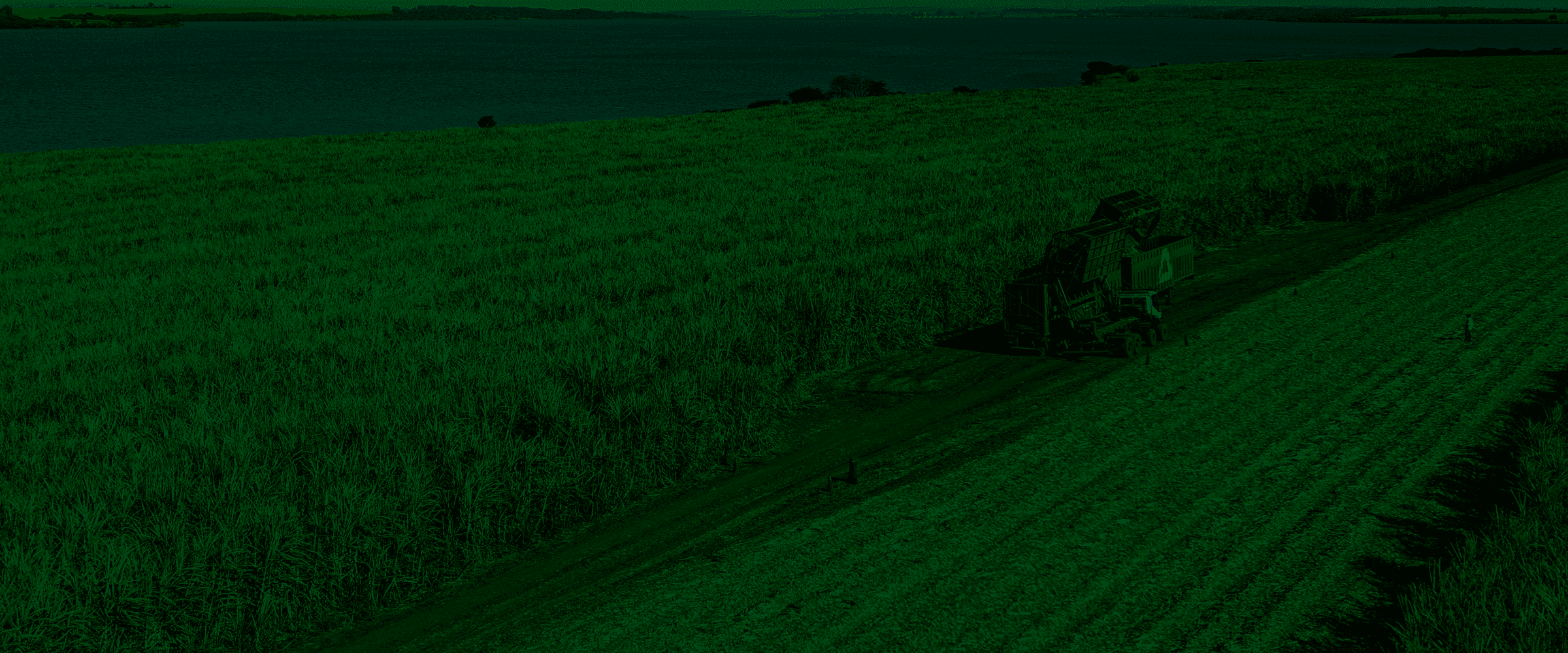 Folha da Cana - Header