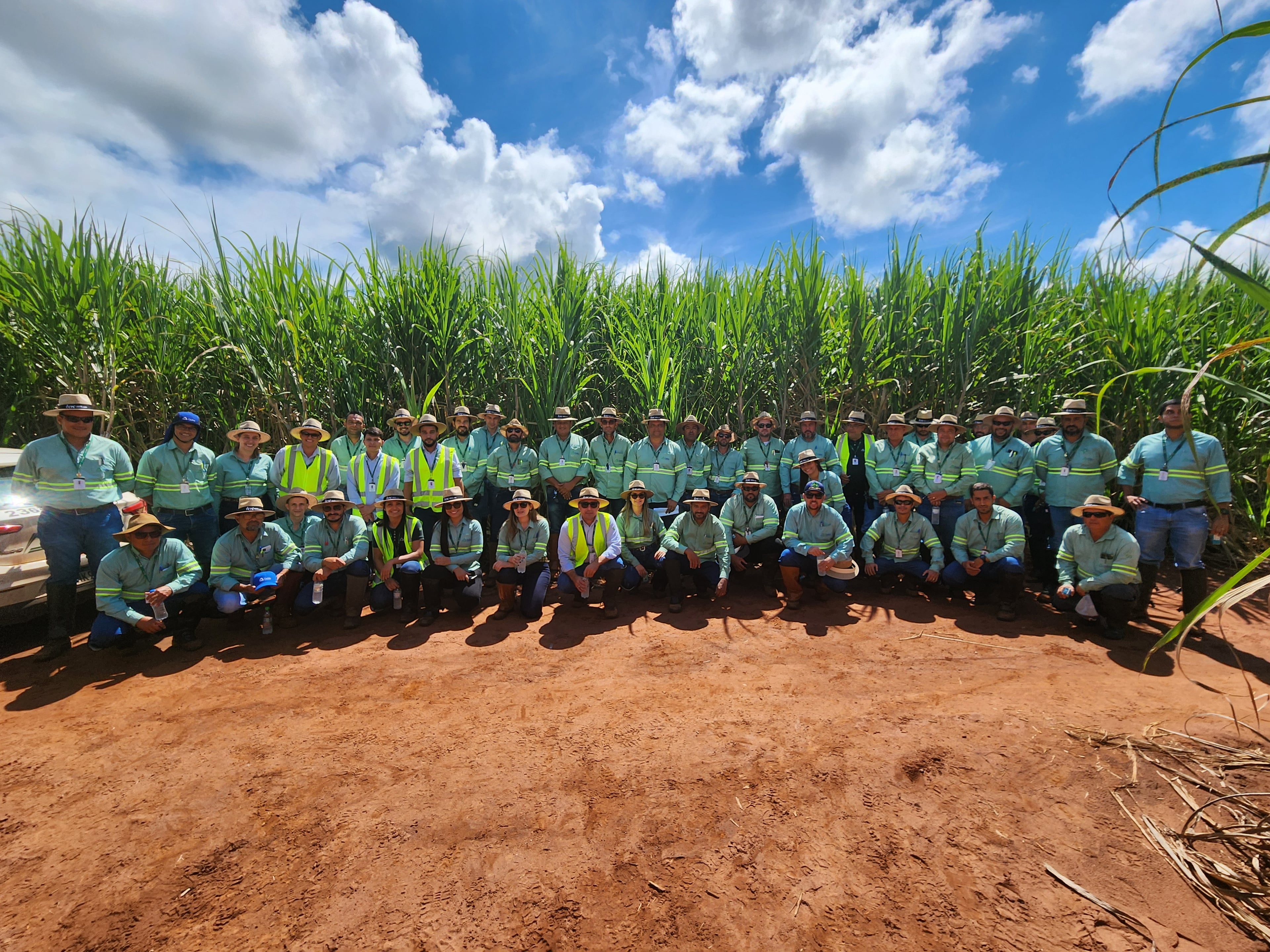 2º encontro Técnico de Variedade de Cana analisa 36 variações da planta