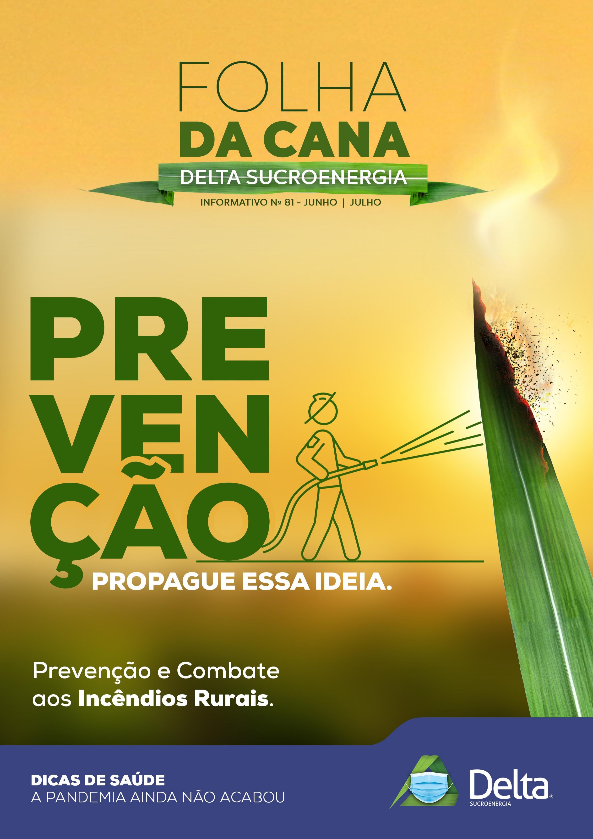 Folha da Cana - Edição 81