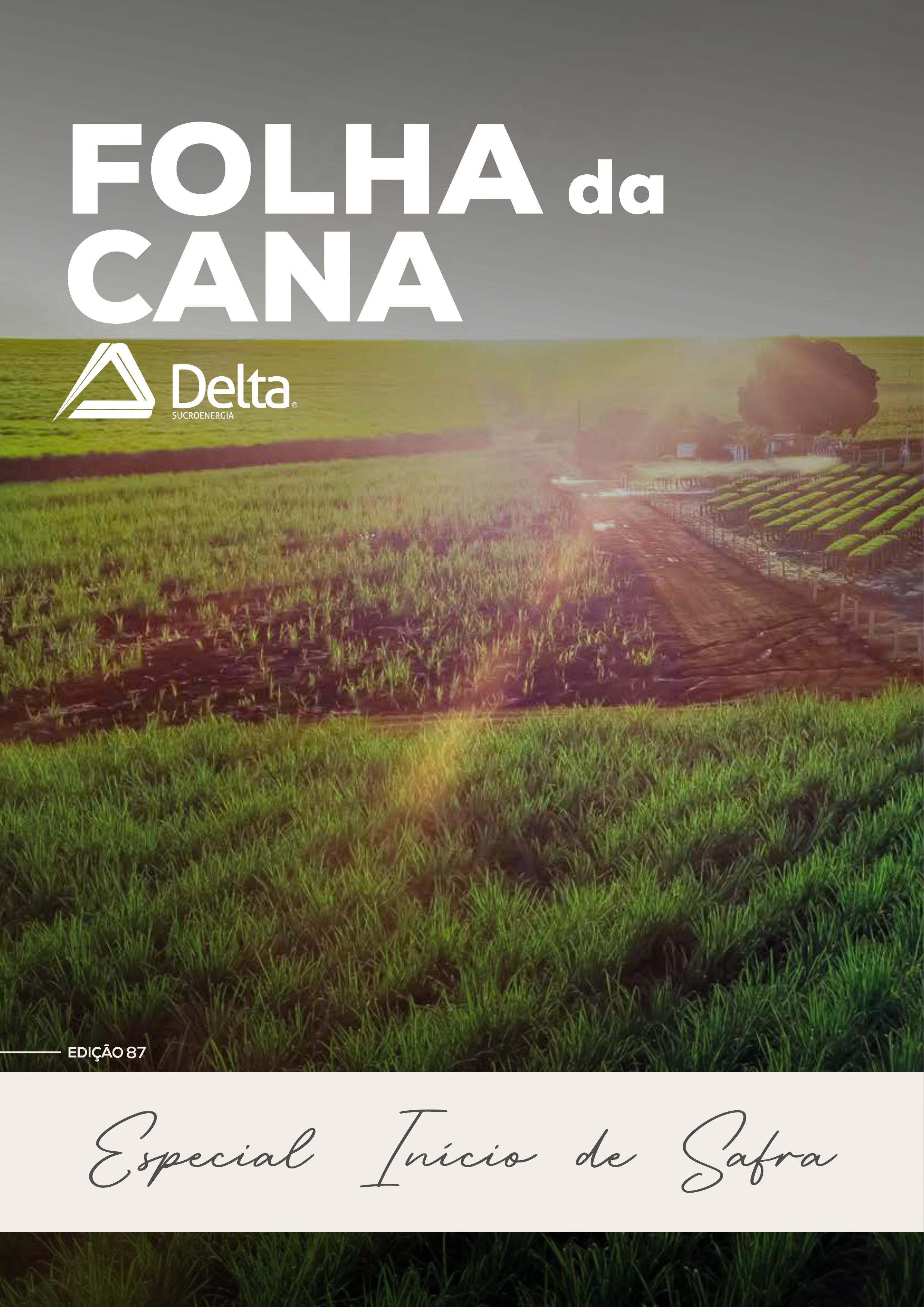 Folha da Cana - Edição 87
