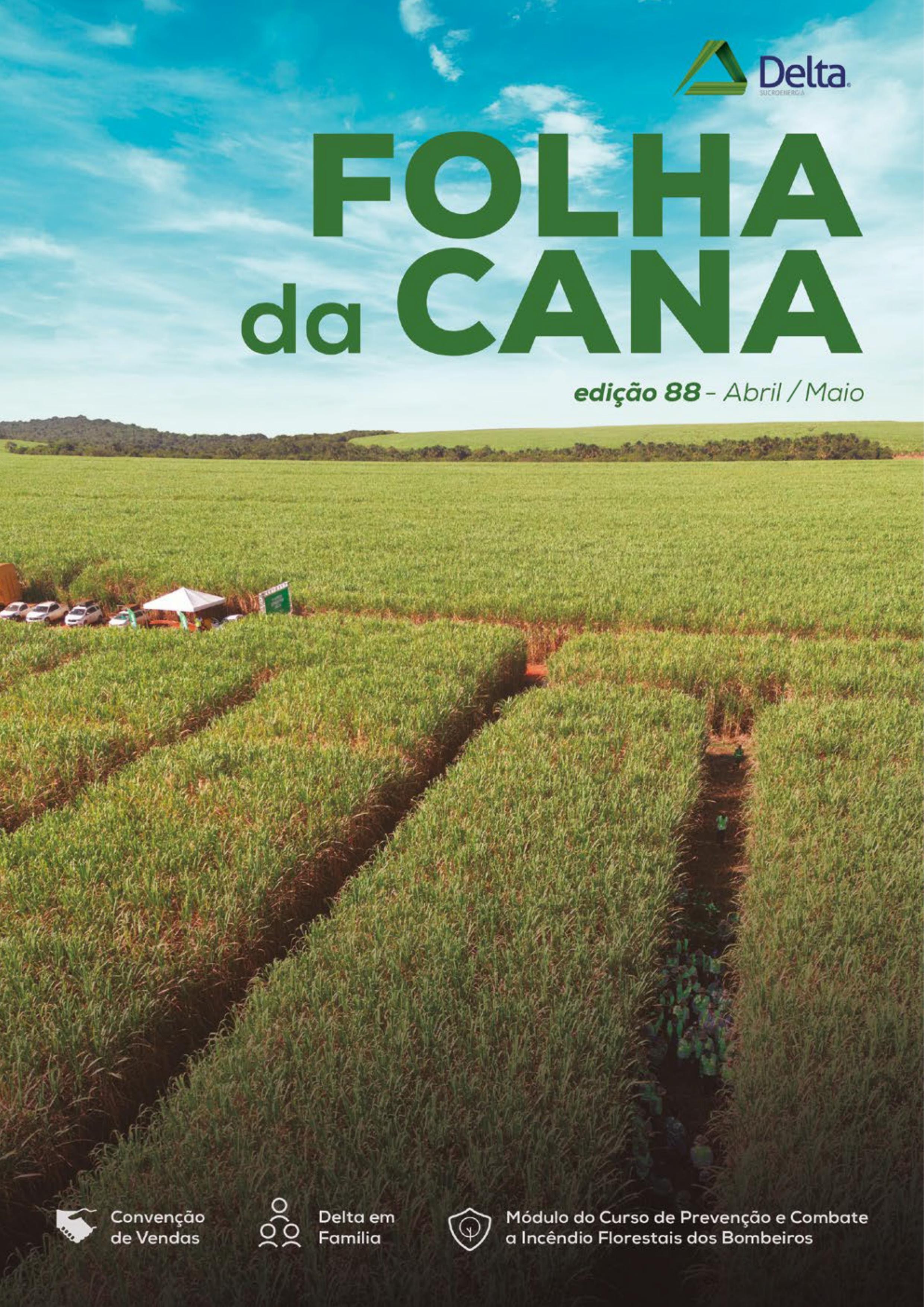 Folha da Cana - Edição 88